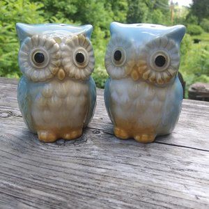 adorable  ceramic owl salt and pepper shakers